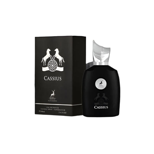 Cassius Eau de Parfum 100 ml